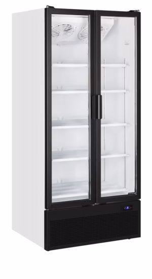 Hladilna vitrina Tefcold FS890H