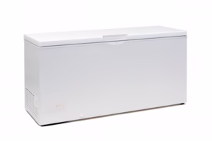 Hladilna skrinja Tefcold EBC61