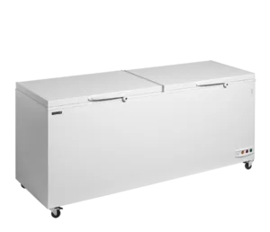 Zamrzovalnik za sladoled Tefcold CF701 SL